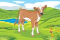 Cute calf on a landscape background