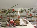 Cute Calico cat sleeping with ceramic cow dolls