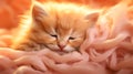 Cute calm kitten having peaceful nap in a tender peach fuzz fluffy world. The soft glow surrounds a sleeping kitten, highlighting