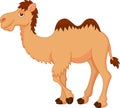 Cute camel cartoon Royalty Free Stock Photo