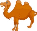 Cute camel cartoon