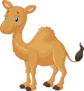 Cute Camel cartoon