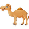 Cute camel cartoon