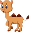 Cute camel cartoon