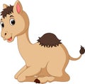 Cute camel cartoon