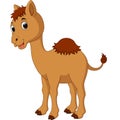 Cute camel cartoon Royalty Free Stock Photo