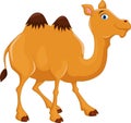 Cute camel cartoon