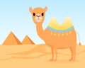 Cute camel in the desert. Pyramids on horizon. Vector