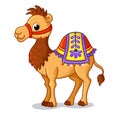 Cute camel stands in a cartoon style. Vector illustration with cute animals