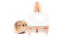 Cute campbell dwarf hamster with easel, white space for text or image