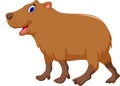 Cute capybara cartoon