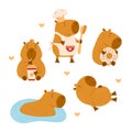 Cute Capybara character collection. Cook with spoon, with coffee and donut, in water and sleeping animal. Isolated funny Royalty Free Stock Photo