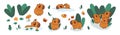 Cute capybara characters set cartoon vector illustration Royalty Free Stock Photo