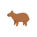 Cute capybara. Vector illustration