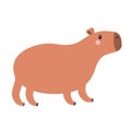 Cute capybara standing icon. Kawaii cartoon funny baby character. Childish style. Water pig. Smiling face head. Sticker print, Royalty Free Stock Photo