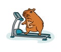 A cute capybara on a treadmill. Vector illustration flat style