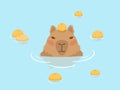 Cute Capybara vector design. Capybara in Japanese Onsen hot spring. Capybara floating in the water and oranges. Kawaii