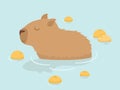 Cute Capybara vector design. Capybara in Japanese Onsen hot spring. Capybara and oranges. Kawaii drawing, funny