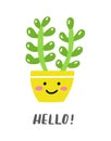 Cute card with crassula