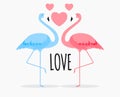 Cute card with flamingos. Love and Valentine`s day Background. Vector Illustration