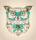 Cute card with hand drawn hipster owl dressed in green glasses.