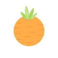 Cute carrot round vector illustration icon