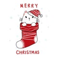 Carton doodle cat in Christmas Red sock, merry Christmas, flat vector clip art, idea for greeting card, printable, wall art, Royalty Free Stock Photo