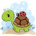 Cute Cartonn Turtle with ladybug