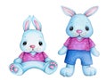 Cute cartoon adorable toy bunny rabbits hares in pink shirts.