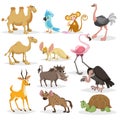 Cute cartoon african animals set. Dromedary and bactrian camels, parrot, monkey, ostrich, fennec fox, flamingo, warthog, vulture, Royalty Free Stock Photo