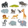 Cute cartoon African animals set. Gorilla ape, crocodile, wildebeest, hippo, baboon, grey parrot, giraffe, lion, cheetah, zebra, r Royalty Free Stock Photo