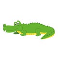Cute cartoon alligator vector illustration Royalty Free Stock Photo