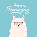 Cute cartoon alpaca with sunglasses and calligraphy hand lettering You are llamazing. Funny character fluffy alpaca. Vector