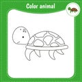 Cute cartoon animal - coloring page for kids. Color turtle