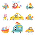 Cute cartoon animals driving auto, flying helicopter and swim on ship. Funny pig ride on scooter, raccoon taxi driver