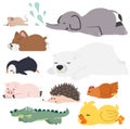 Cute cartoon animals sleeping collection