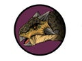 Cute cartoon ankylosaurus. Isolated illustration of a cartoon dinosaur.
