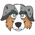 Cute cartoon australian shepherd dog face vector clipart. Pedigree kennel doggie breed for dog lovers. Purebred domestic puppy for