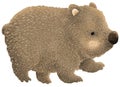 Cute Cartoon Australian Wombat png