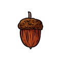 Cute cartoon autumn acorn symbol. Isolated logo graphic image Royalty Free Stock Photo