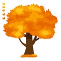 cute cartoon autumn fall trees collection. Vector Royalty Free Stock Photo