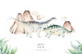 Cute cartoon baby dinosaurs collection watercolor baby shower invite, hand painted dino isolated on a white background