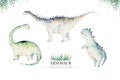 Cute cartoon baby dinosaurs collection watercolor baby shower invite, hand painted dino isolated on a white background