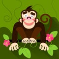 Cute cartoon baby monkey hanging on tree Royalty Free Stock Photo