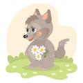 Cute cartoon baby wolf with a bouquet of flowers in a meadow with daisies. Illustration in flat style. Children\'s card.