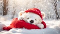 Cute cartoon bear holiday banner a hat sleeps in the snow design animal snow background Royalty Free Stock Photo