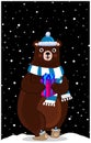 Cute cartoon bear in knitted hat with gift on night snowy background Royalty Free Stock Photo