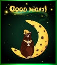 Cute cartoon bear on the moon and inscription good night .