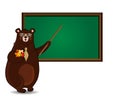 Cute cartoon bear teacher holding pointerand autumn leaves near chalkboard isolated on white Royalty Free Stock Photo