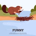 Cute cartoon beaver building a dam out of branches on lake, brown short-haired wild mammal animal vector wildlife poster